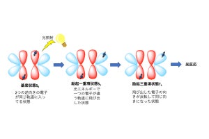 重原子含有分子のS0→Tnへの遷移で光反応が起きることを証明 - 千葉大