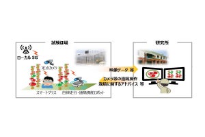 NTT東日本など3者がローカル5G活用の最先端農業実装に向けて連携