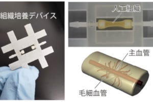 産総研、3次元構造を持つ人工血管の作製に成功