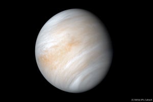 金星に生命が存在か？　大気からリン化水素を検出 - 英カーディフ大など