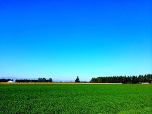 「地域ブランド調査2020」発表、茨城県は最下位脱出 - 47位まで一挙紹介