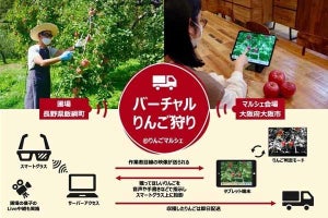 スマートグラスを活用した「バーチャルりんご狩り」