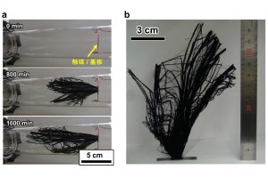 カーボンナノチューブフォレストを14cmまで成長させる手法を早大などが開発