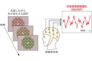 色は主観で決まる？　東北大、見た目の色の鮮やかさと関連した脳波を記録