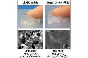 JAEAなど、クエン酸や水などから環境にやさしい生分解性の高強度ゲルを開発