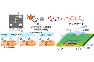 東大生研、水中用の有害化学物質センサを有機薄膜トランジスタを用いて開発