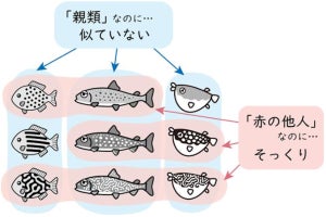 明るい斑×暗い斑=迷路模様？　動物の複雑な模様が生まれた仕組みが判明