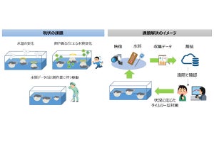 温泉水利用したトラフグ養殖でIoT技術の実証実験