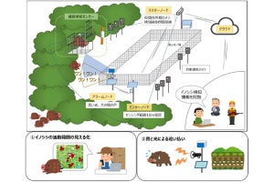 福島県富岡町でIoT活用したイノシシ被害軽減の実証実験