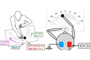 脳への電流刺激で利き腕とは逆の腕の使用頻度を向上させることに早大が成功