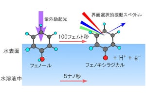 水の表面における化学反応は水中の5万倍も高速だった！　理研が観察に成功