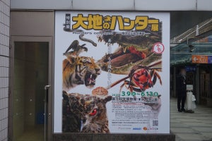 上野・科博で捕食者に関する特別展「大地のハンター展」が3月9日より開催