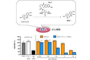 理研など、がん細胞上で化学反応して薬剤となるプロドラッグ技術を開発