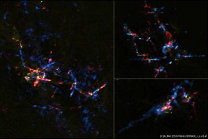 天の川銀河の中心部に隠れた多数の赤ちゃん星を国立天文台などが発見