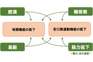 肥満や糖尿病がある人は口腔機能が低下するリスクが高いことを阪大が確認