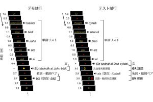 外国語は1つ習うより2つ以上を習う方が脳活動の面で有利、東大が確認