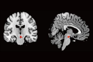 サブリミナルで自分の顔を見るとやる気が高まる脳の仕組みを阪大が発見