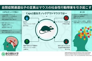 愛情ホルモン「オキシトシン」の分泌を制御するタンパク質を確認 理科大など