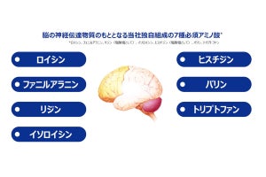 味の素、認知機能維持に向けたスマホアプリを公開 - 機能性表示食品も発売