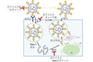 東大など、光触媒でエアロゾル中や液体中の新型コロナの無害化に成功