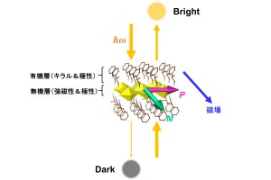 東北大など、眺める角度によって明るさが変化する磁石を作り出すことに成功