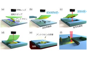 理研、カーボンナノチューブなどのナノ材料を緻密に配置する技術を開発