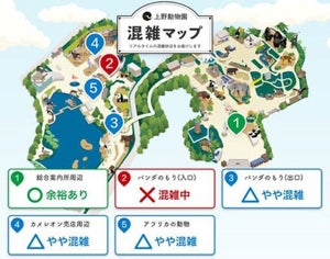 AI活用し上野動物園の混雑状況をリアルタイムに可視化