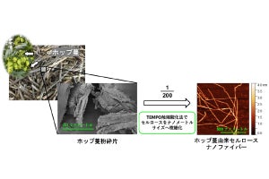 ホップ蔓からセルロースナノファイバーを分離、横浜国大などが成功