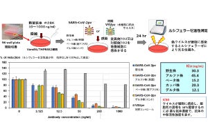 富山大、新たなコロナ変異株の出現にも有効な「スーパー中和抗体」を開発