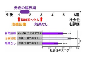 東京女子医大、自閉スペクトラム発症を制御する抑制回路の仕組みを解明