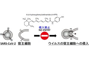 帝京大など、新型コロナウイルスの感染を抑制する既存薬「4-HRP」を同定