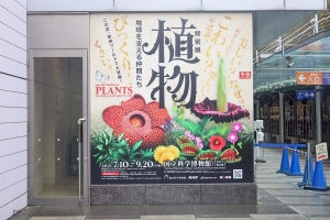 上野・科博で意外とアクティブな植物の魅力が知れる特別展「植物」が開催