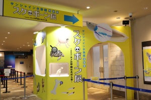 骨、骨、骨！　生き物の“内側”が知れる特別展がサンシャイン水族館で開催