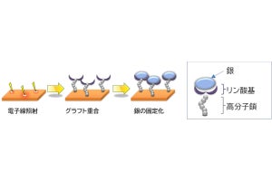 抗ウイルス効果を持つ銀を繊維素材に強固に結合させる技術をQSTなどが開発