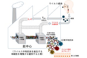 ウイルスに対する免疫反応はワクチンと実際の感染では異なる、理研などが発見