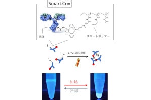 NIMS、新型コロナの簡易抗原検査の感度を約10倍に向上させる技術を開発