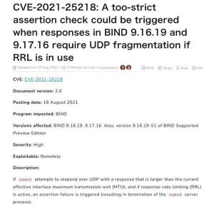 ISC BIND 9にサービス運用妨害の脆弱性、アップデートが必要