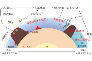 全球凍結後に真正細菌が増殖した後に真核生物が繁栄した証拠を東北大が発見