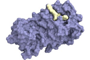 京都薬科大など、AI創薬技術で新型コロナ治療薬のリード化合物を発見