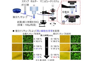 早大など、細胞用注射技術の改良で30分後の細胞生存率を95％まで向上