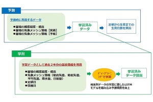 AIを活用したレタスの生育予測を本格運用開始 - 日立sol東×トップリバー