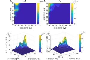 バイオレット光が脳を刺激して認知機能を改善する可能性、慶大が確認