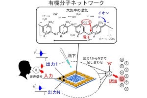 導電性高分子を用いた「物理リザバー計算」による音声認識、九工大が成功