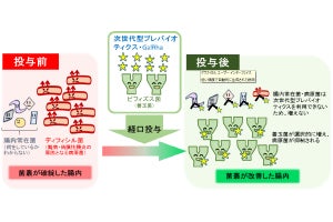 善玉菌であるビフィズス菌を選択的に増殖できるオリゴ糖、近大などが発見