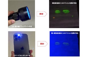 スマホのライトで新型コロナの付着を可視化するマスク技術を京都府立大が開発