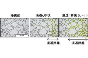 界面活性剤の種類を問わずに浸透現象を説明可能な数理モデル、農工大が発表