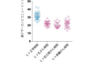 がん細胞を硬くすることで浸潤・転移を防げる可能性、神戸大などが発見