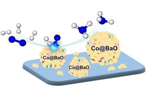 名大、ルテニウムなしでも温和な条件下で高アンモニア合成活性を示す触媒を開発