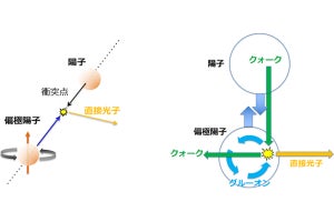 陽子内のグルーオンの回転運動はあまり大きくないことが判明、理研などが確認