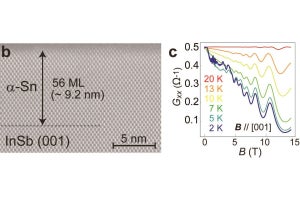 東大など、多様なトポロジカル相を持つトポロジカル・ディラック半金属を開発